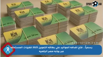 رسمياً.. فتح إضافة المواليد على بطاقة التموين 2025 للفئات المستحقة عبر بوابة مصر الرقمية